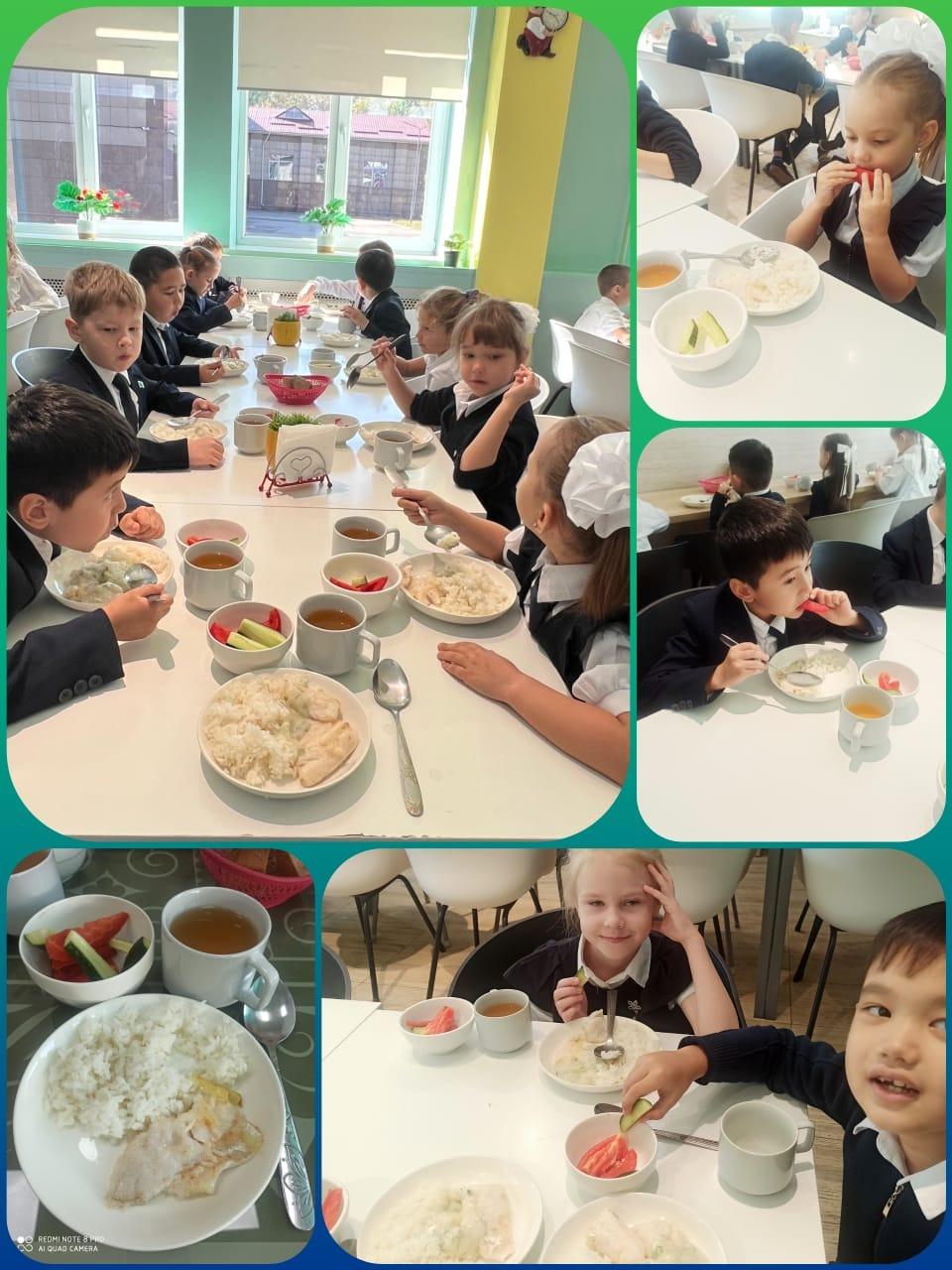 Мектеп асханасын тексеру актісі Акт обследования школьной столовой